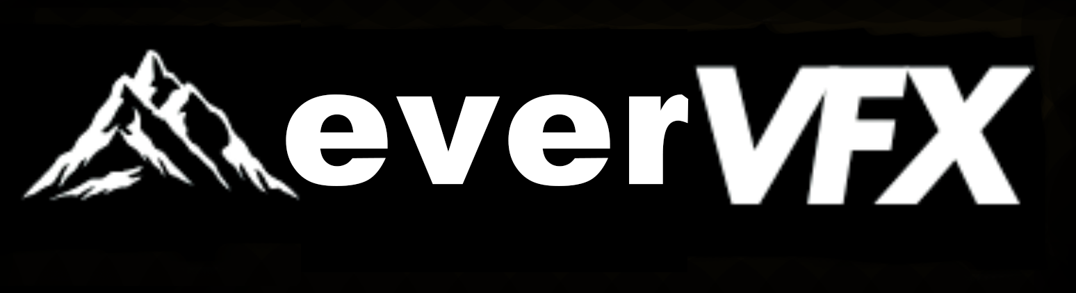 everVFX logo